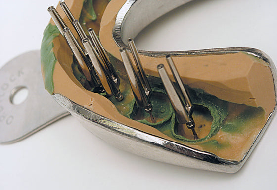 Bi-Pin Model pin