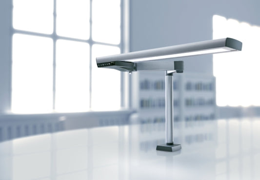 LIGHT 1 Dental worklight