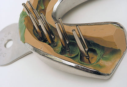 Bi-Pin Model pin