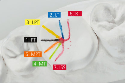 GEO Expert Functional Functional modeling waxes