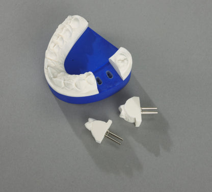 Bi-V-Pin Model pin